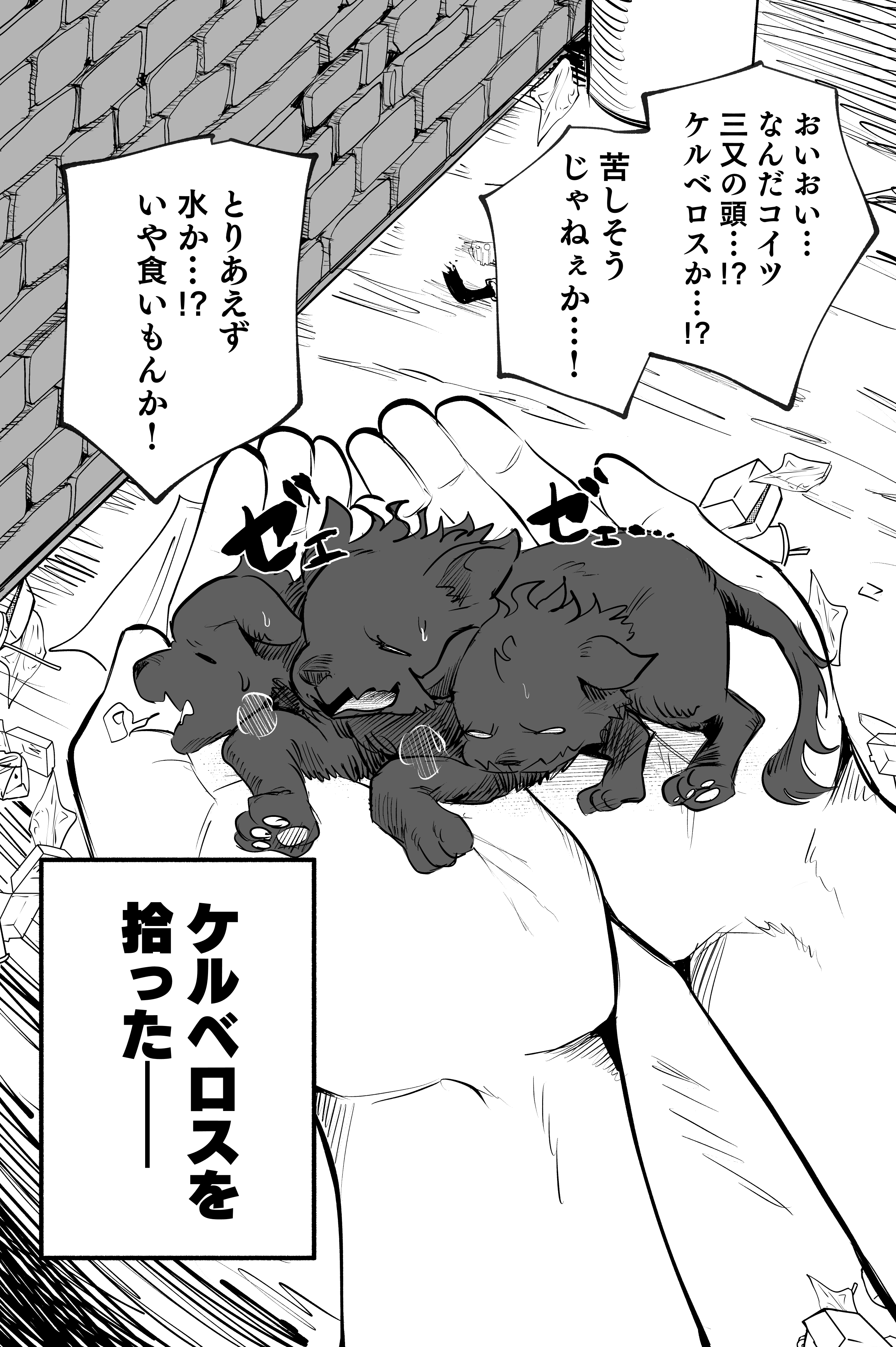 I Picked up Cerberus