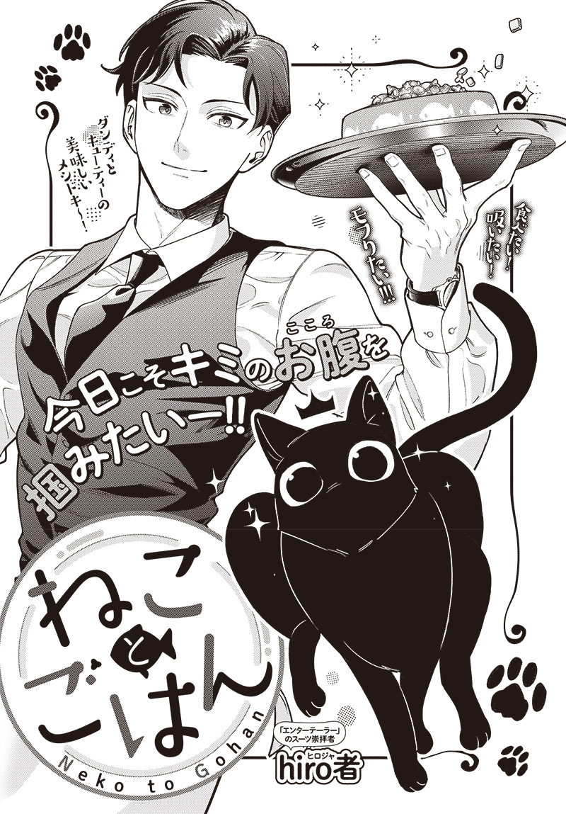 Cat and Meals