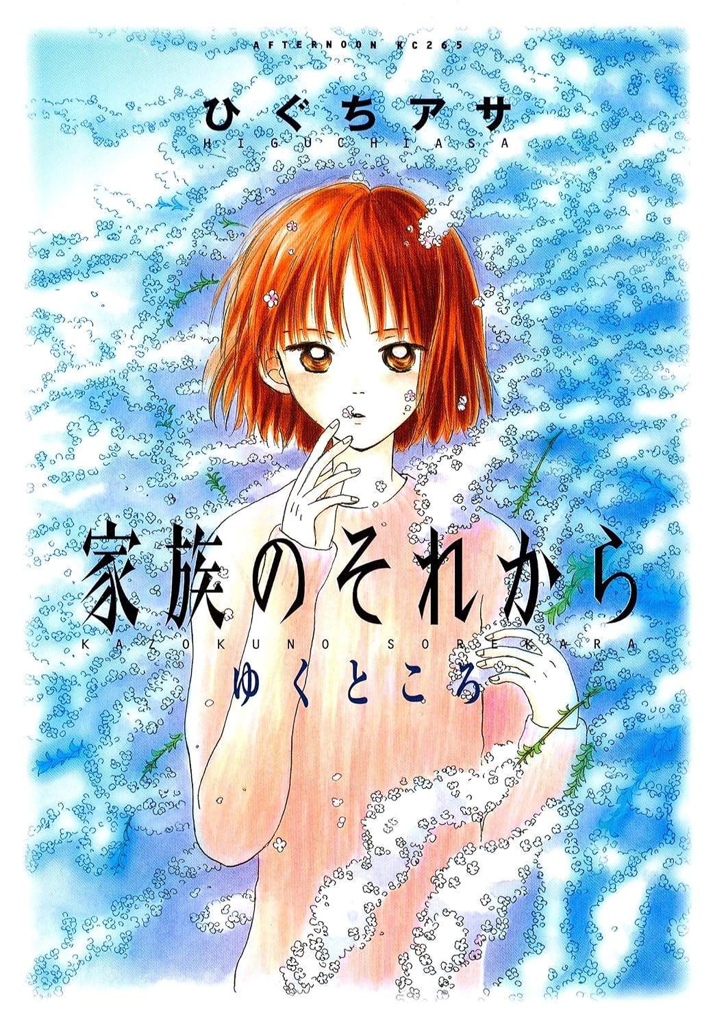 Kazoku no Sorekara