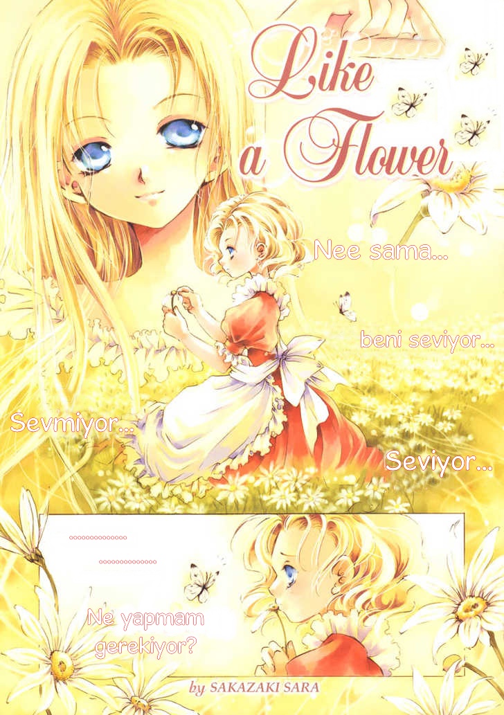 Like a Flower