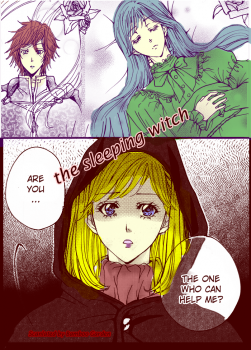 The Witch in the Sleeping Forest