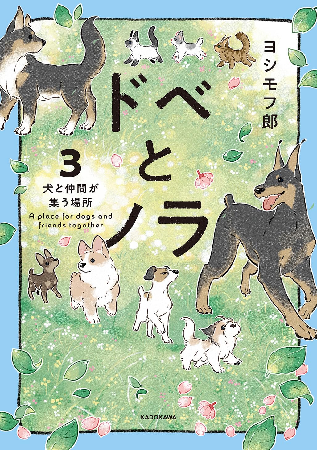 Dobe to Nora
