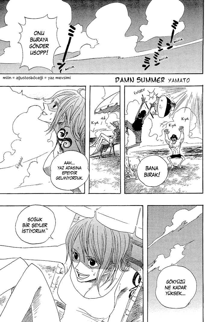 One Piece - Damn Summer (Doujinshi)