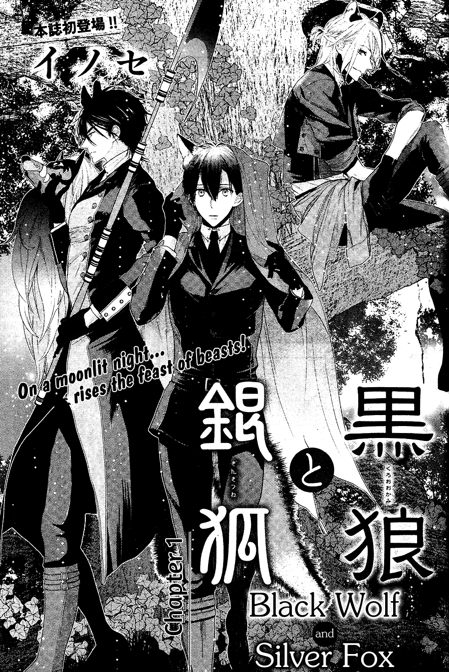 Black Wolf And Silver Fox