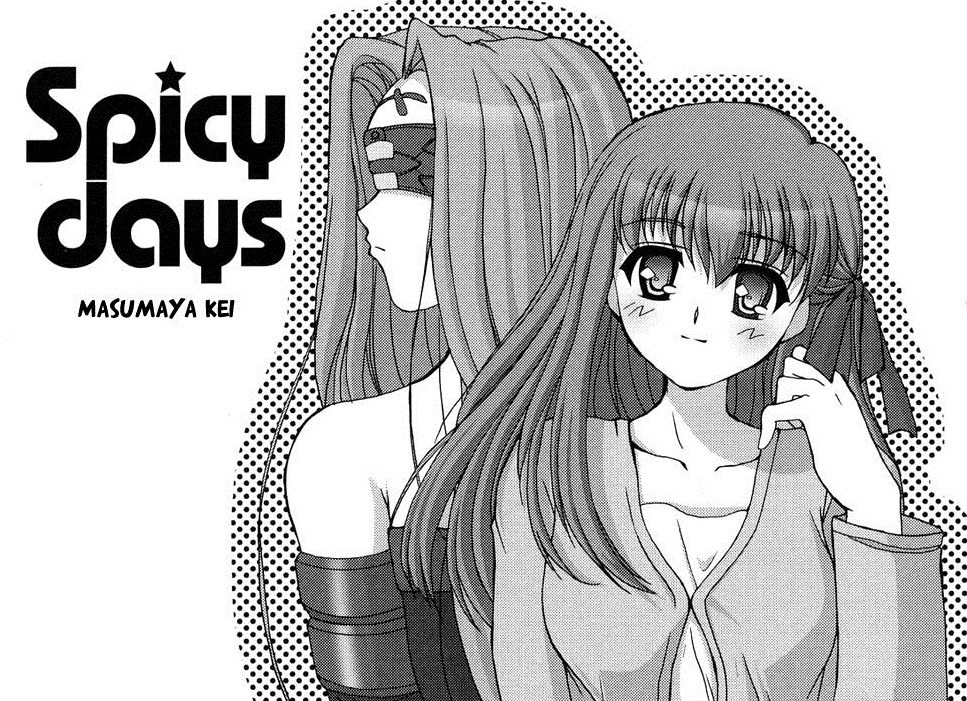 Fate hollow ataraxia dj - Spicy Days