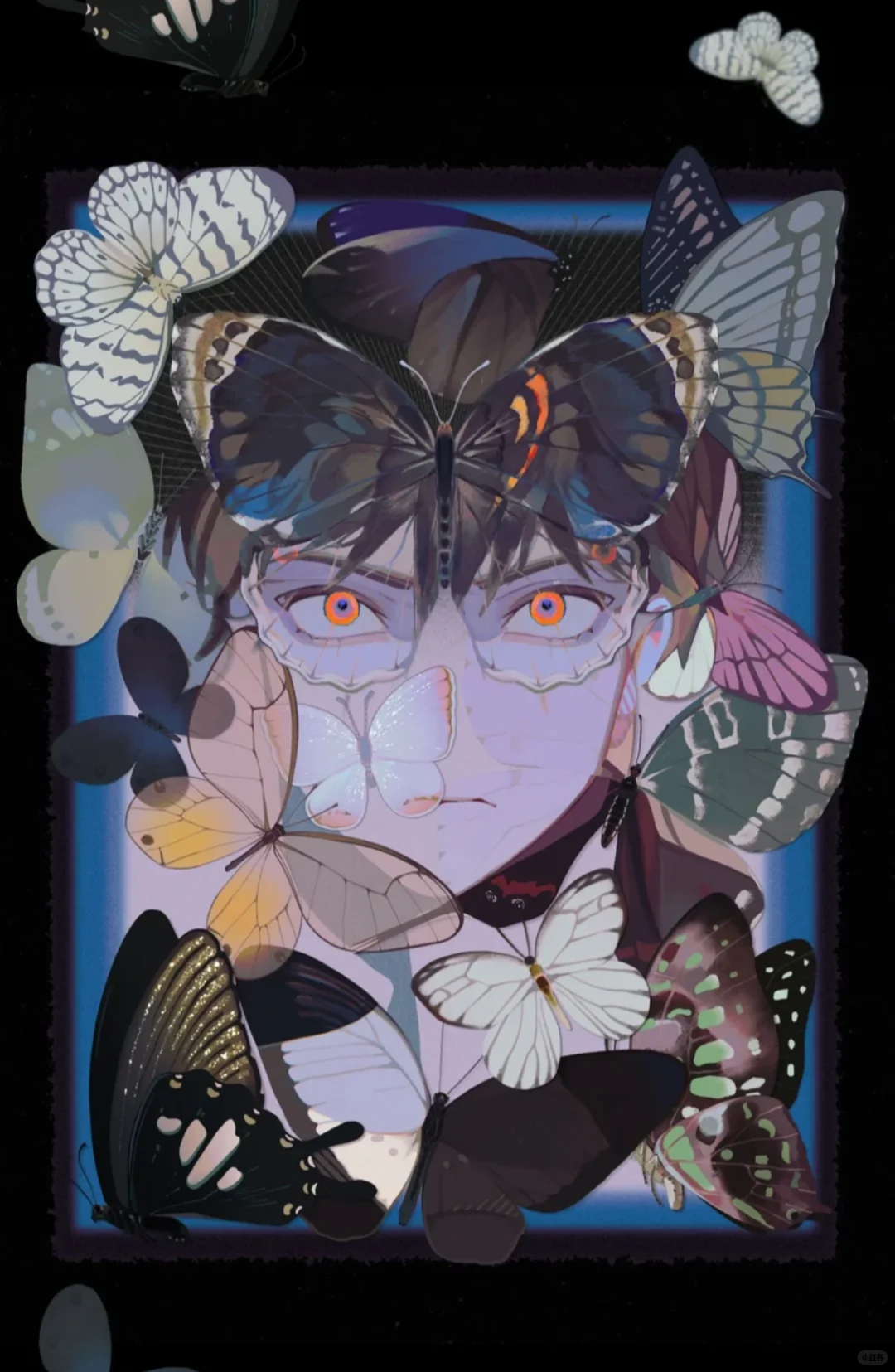 Butterfly Trap
