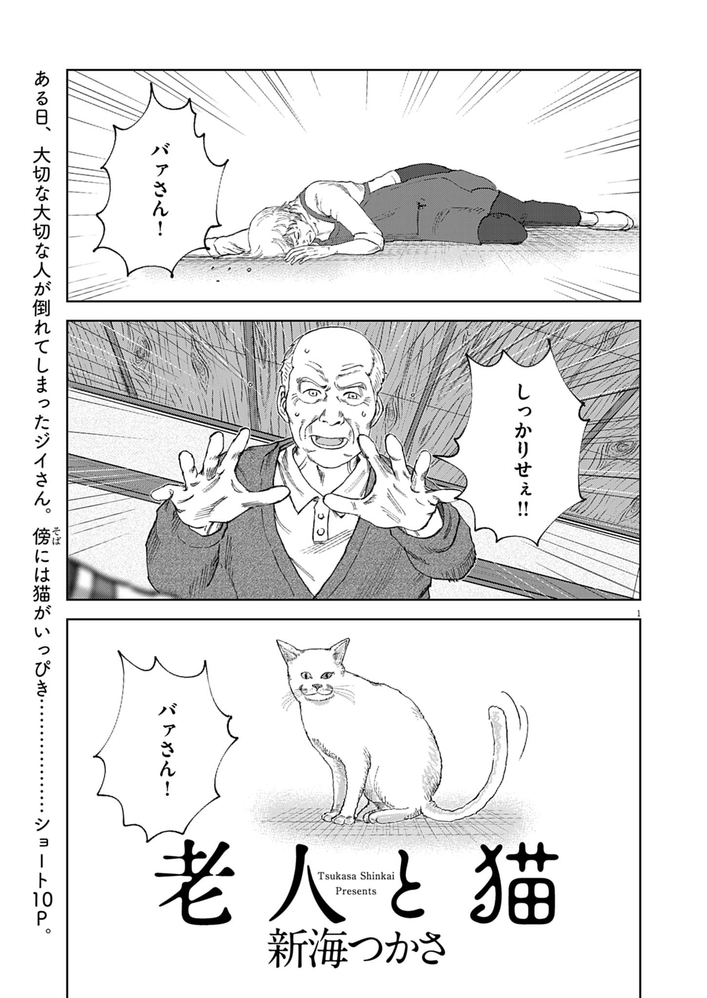 Old man and the cat