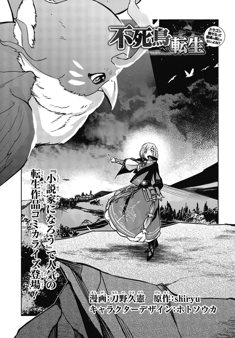 Reincarnated into a Phoenix: A Bird That Can Defeat a Dragon Can't Be Normal Right?