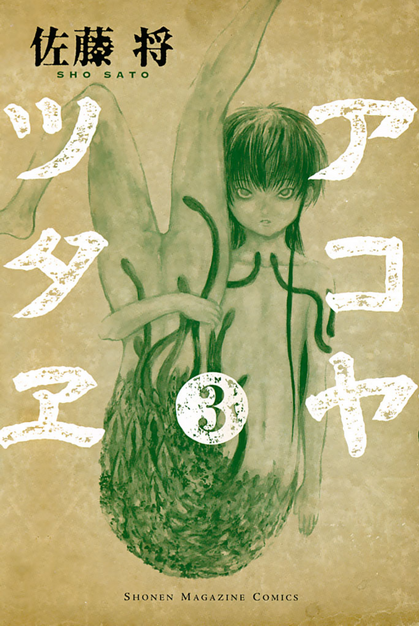 The Chronicle of Akoya
