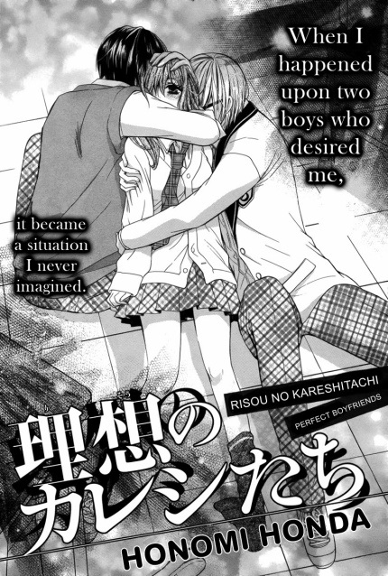Perfect Boyfriends