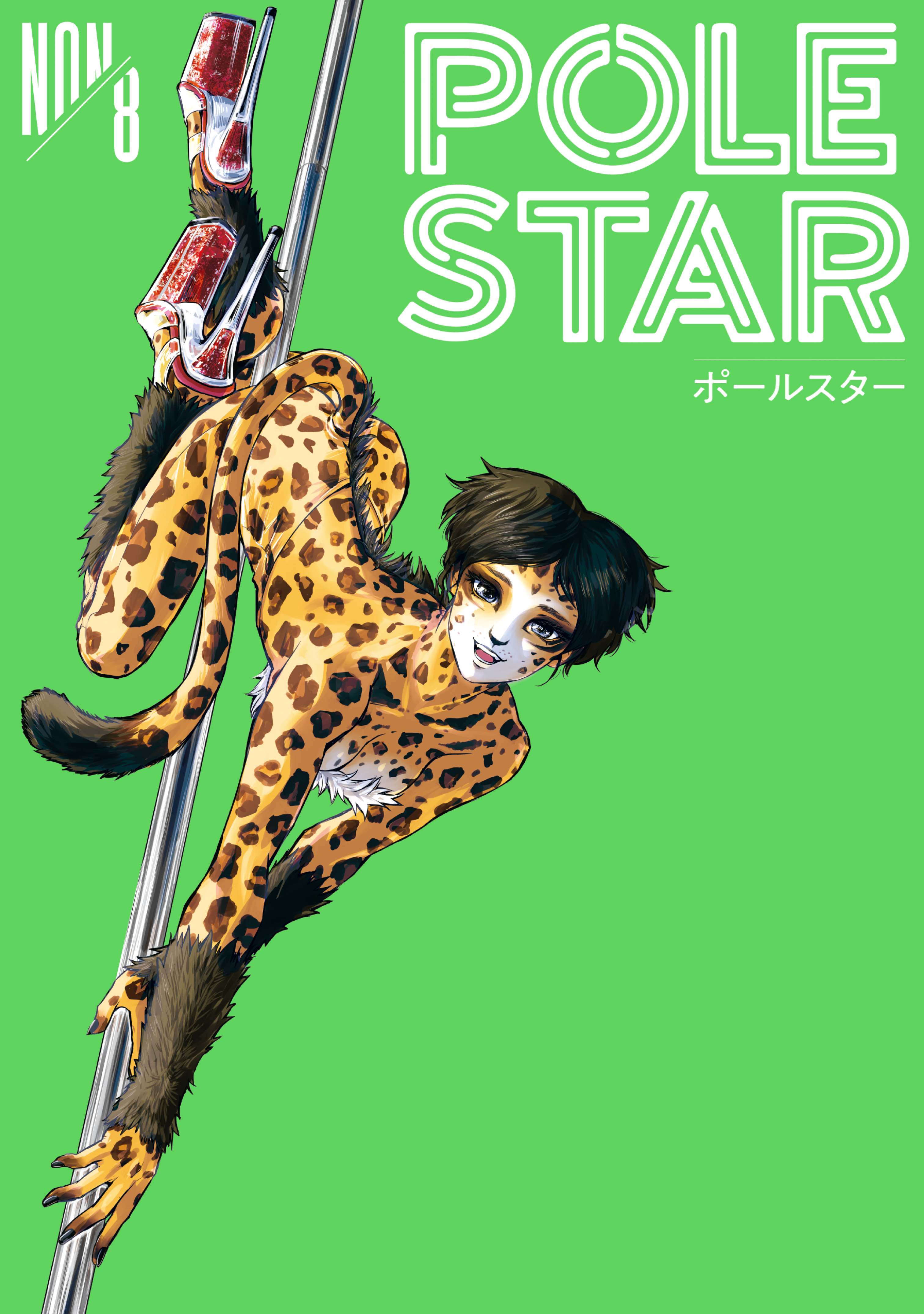 POLE STAR