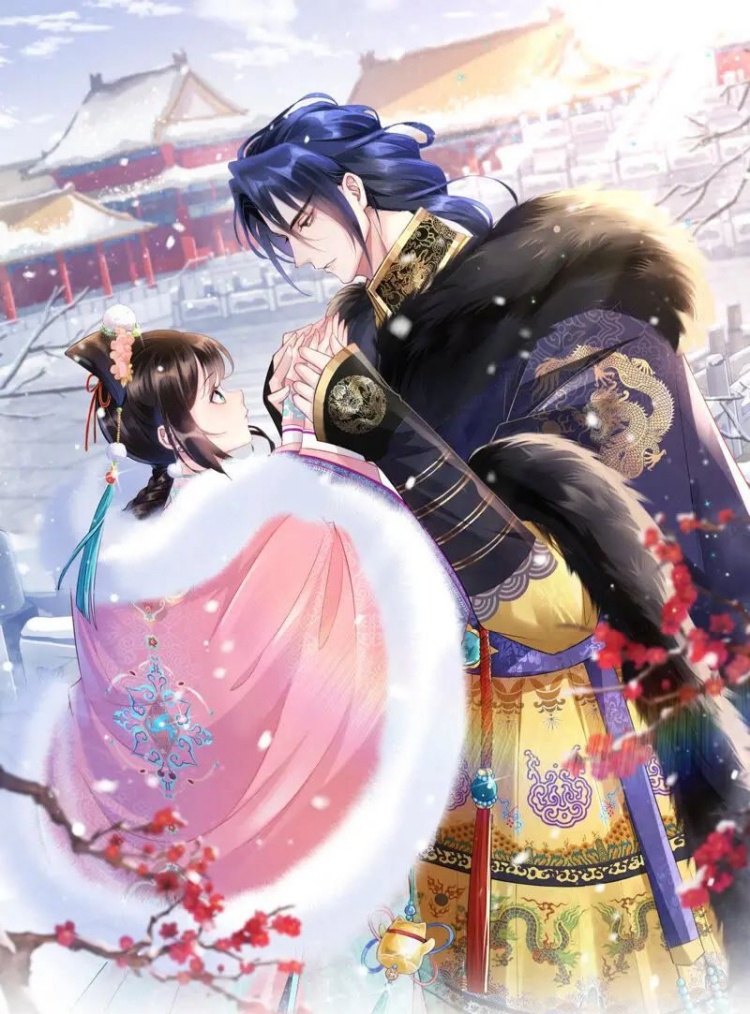 Princess Please Hold On, Your Image Cannot Be Collapsed!