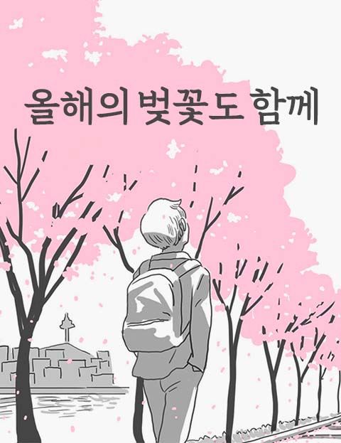 Cherry Blossoms