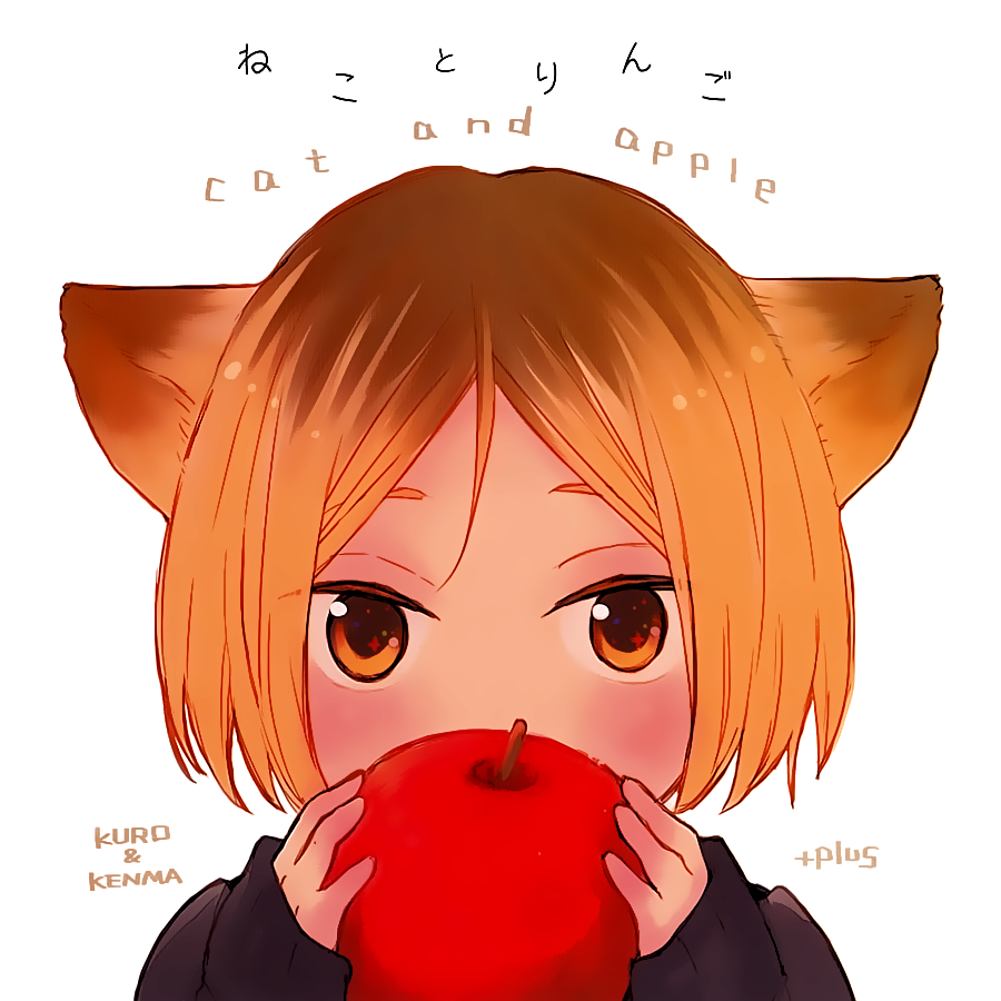 Haikyu!! dj - Cat And Apple
