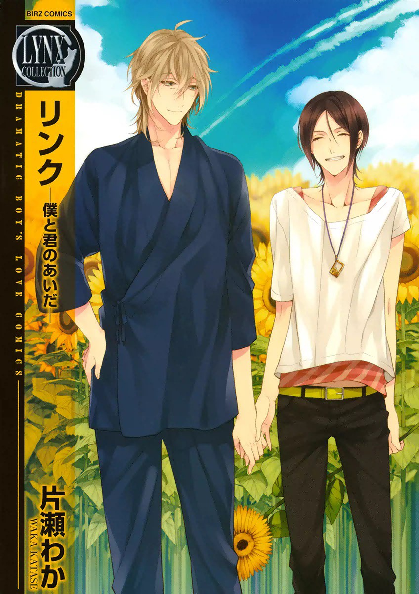 Link ~Boku to Kimi no Aida~