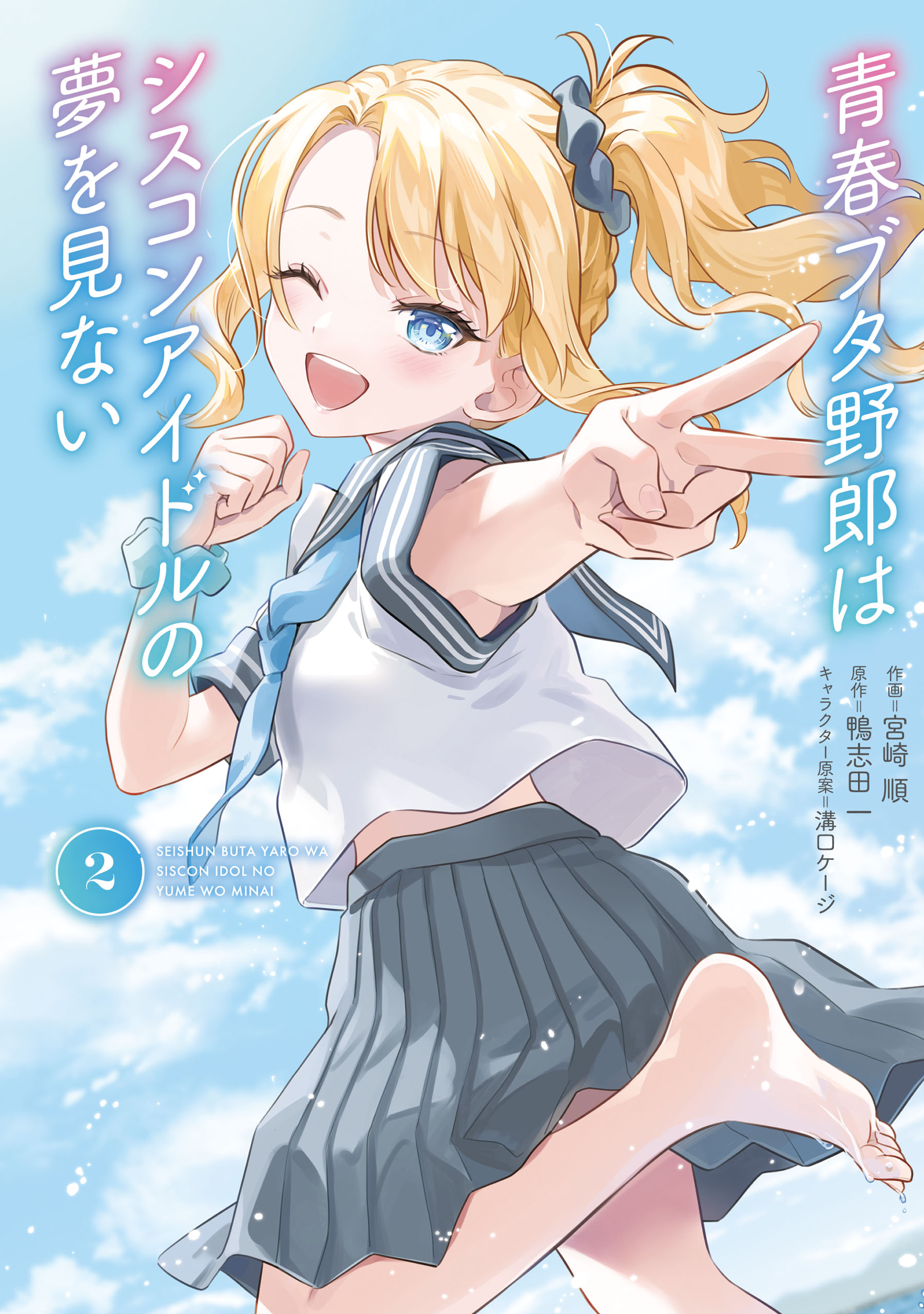 Rascal Does Not Dream of Siscon Idol