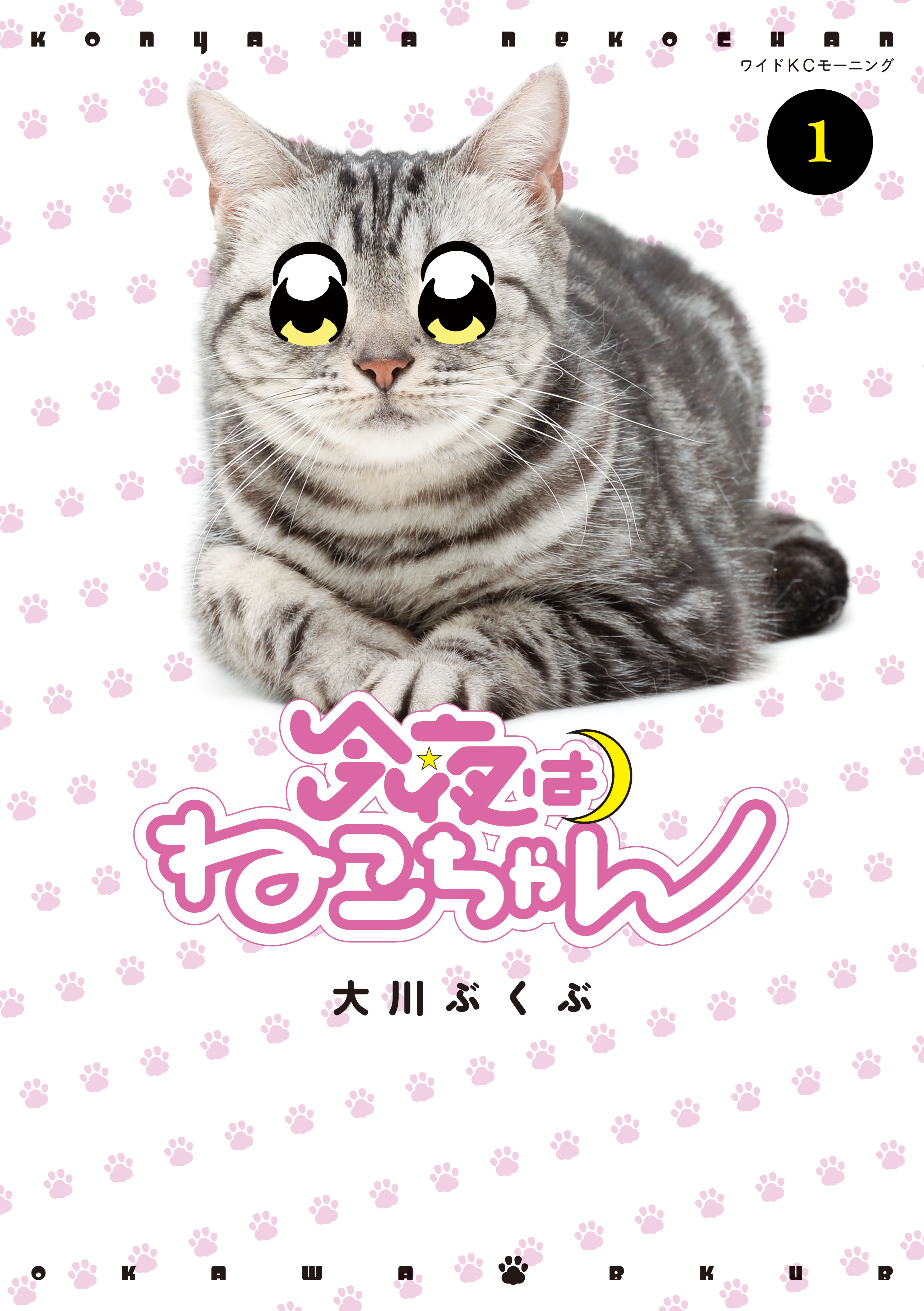 Kitty Tonight