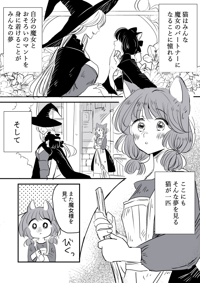 The Lady Witch and Her Cat: The Magic Broom