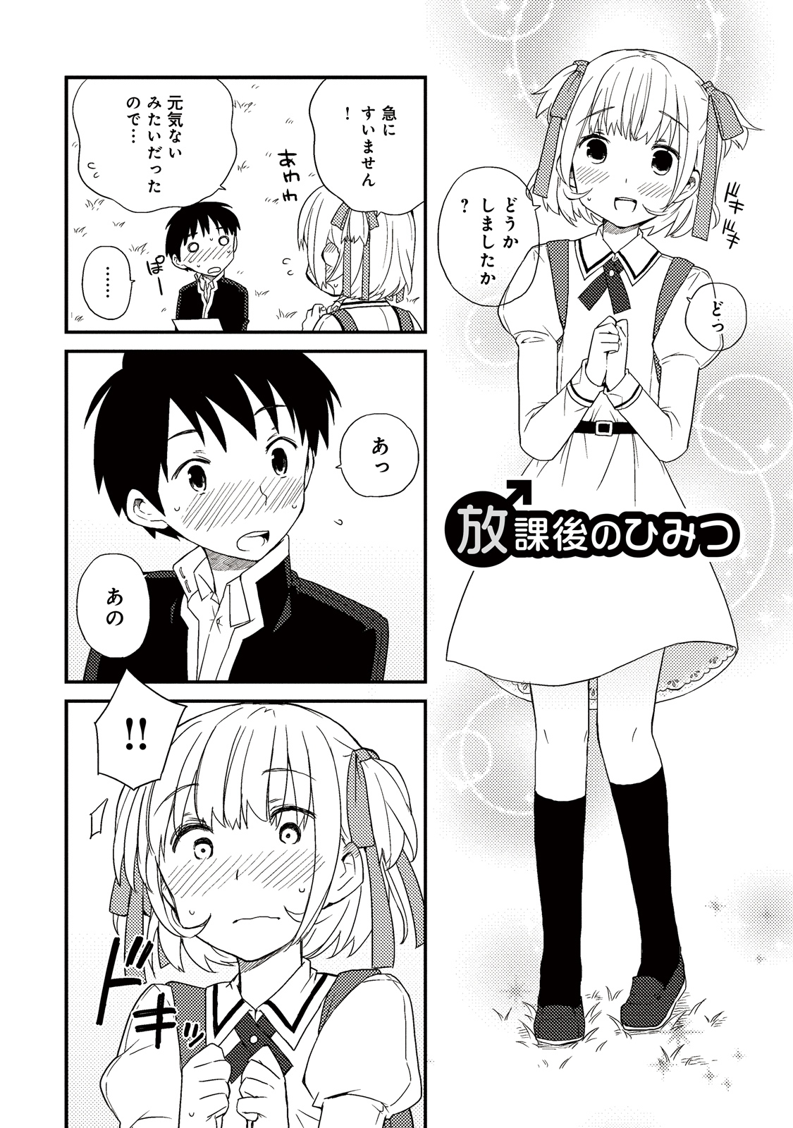 Houkago no himitsu