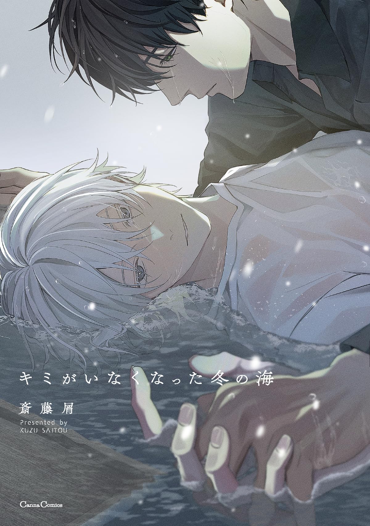 The Winter Sea Where You Are Gone