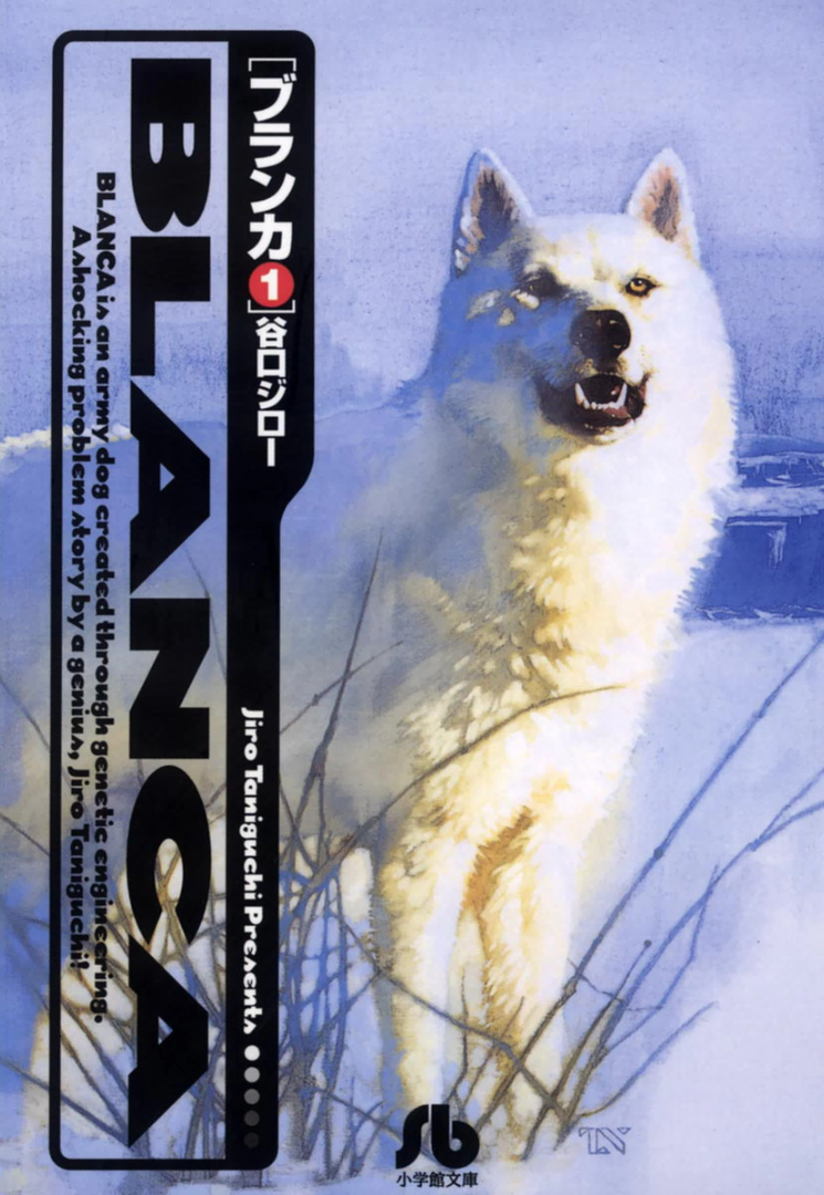 Blanca - The Ultimate Fighting Dog