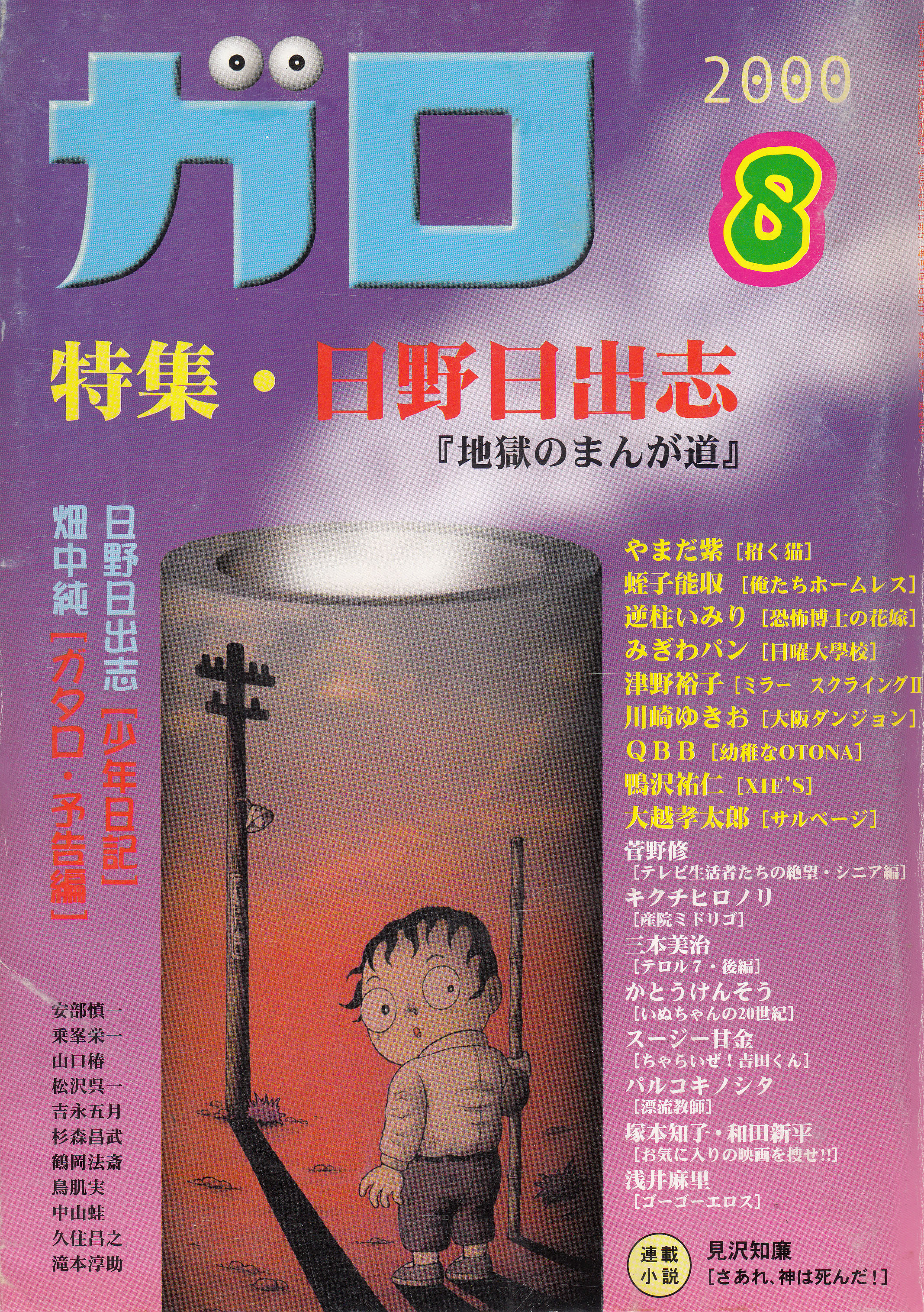 A Boy's Diary