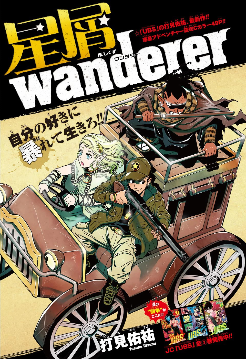 Stardust Wanderer
