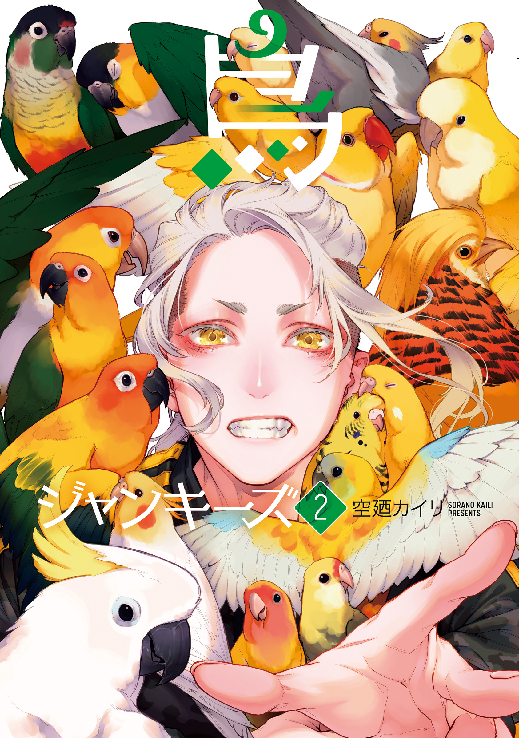 Bird Junkies