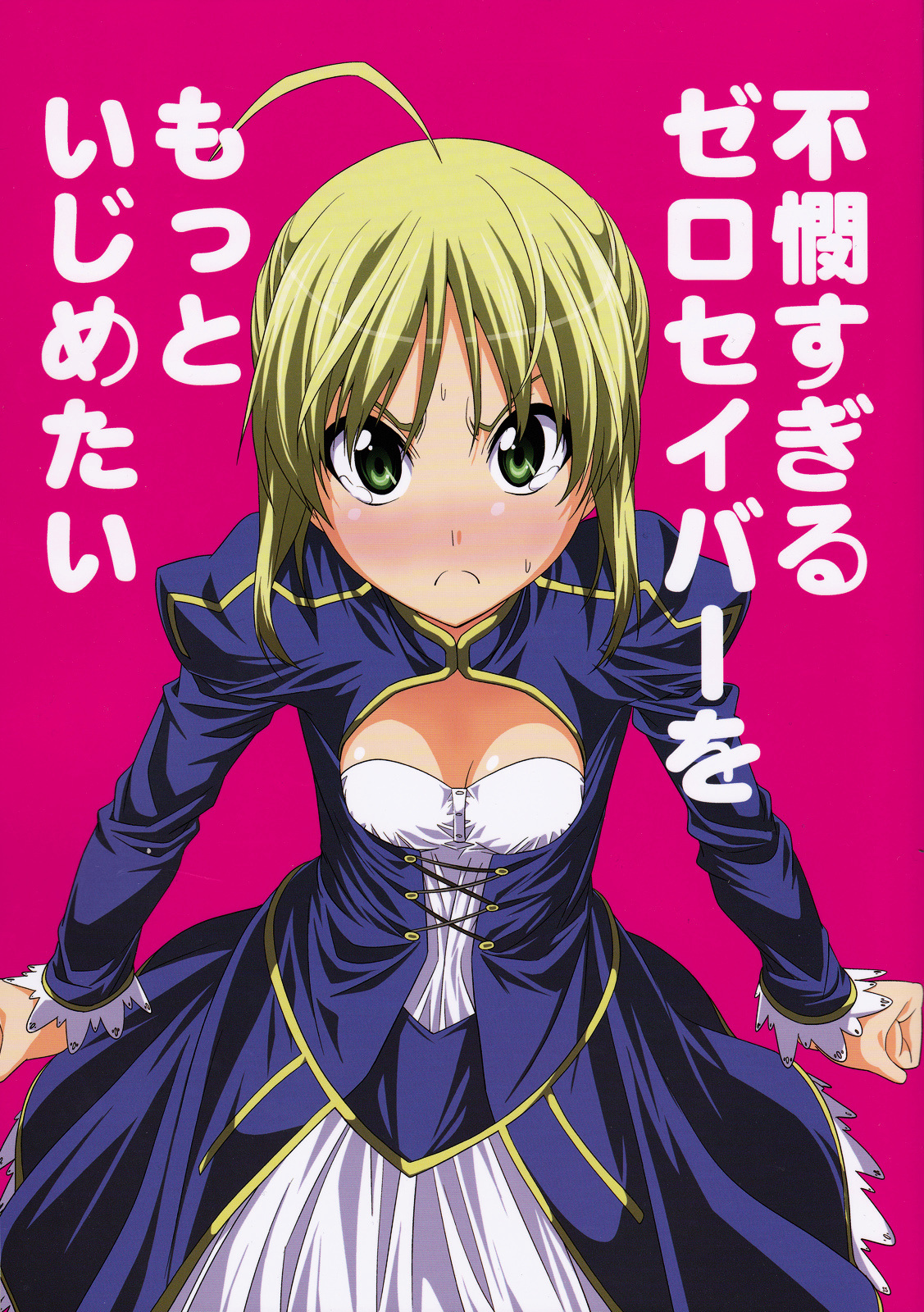 (C81) 不憫すぎるゼロセイバーをもっといじめたい (フェイト/ゼロ)