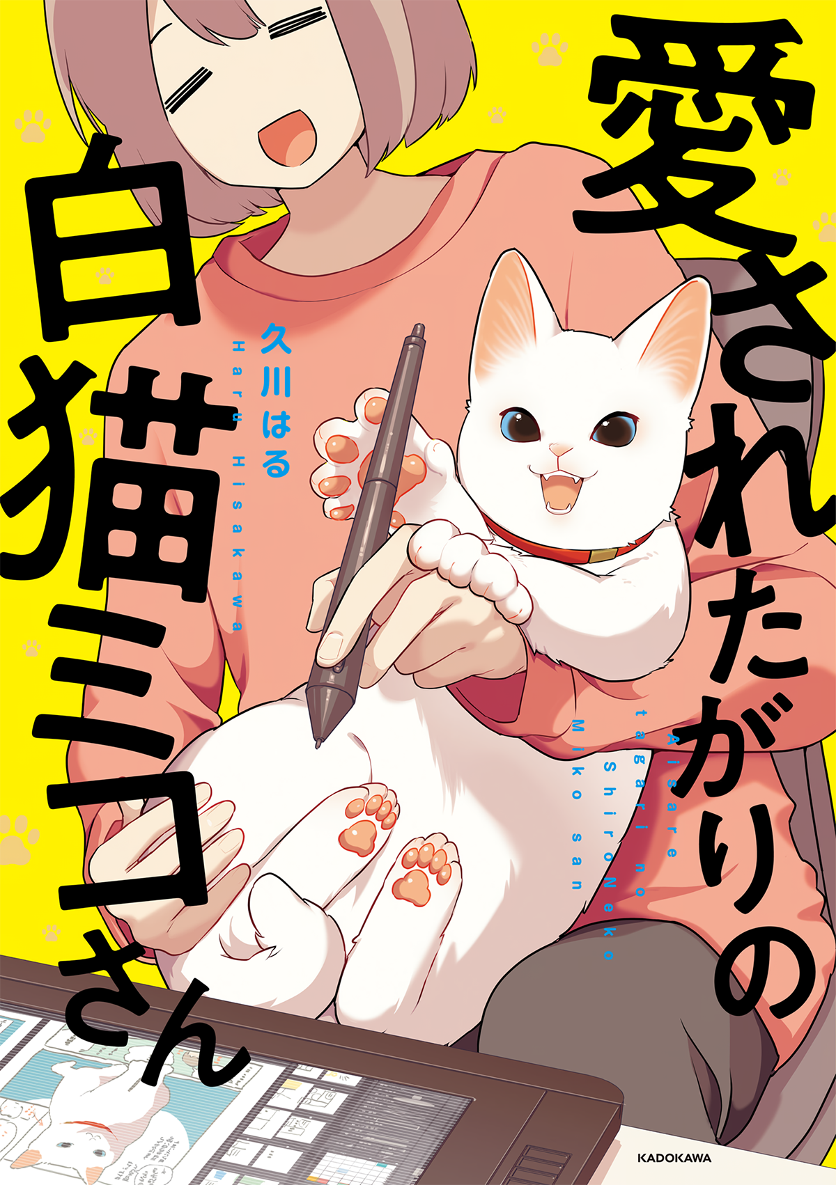 Miko, a White Cat That Wants to Be Loved