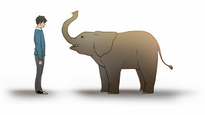 Bagaimana Cara Memeluk Gajah
