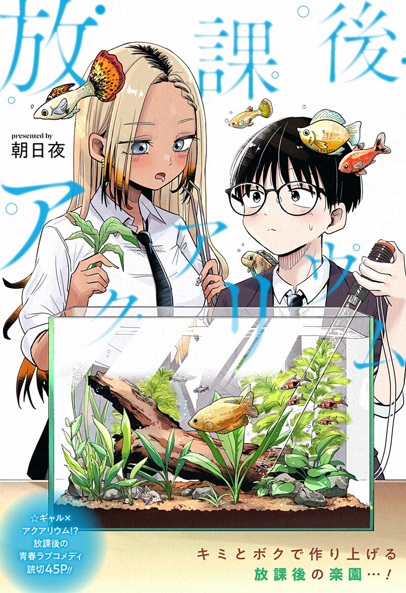 Afterschool Aquarium
