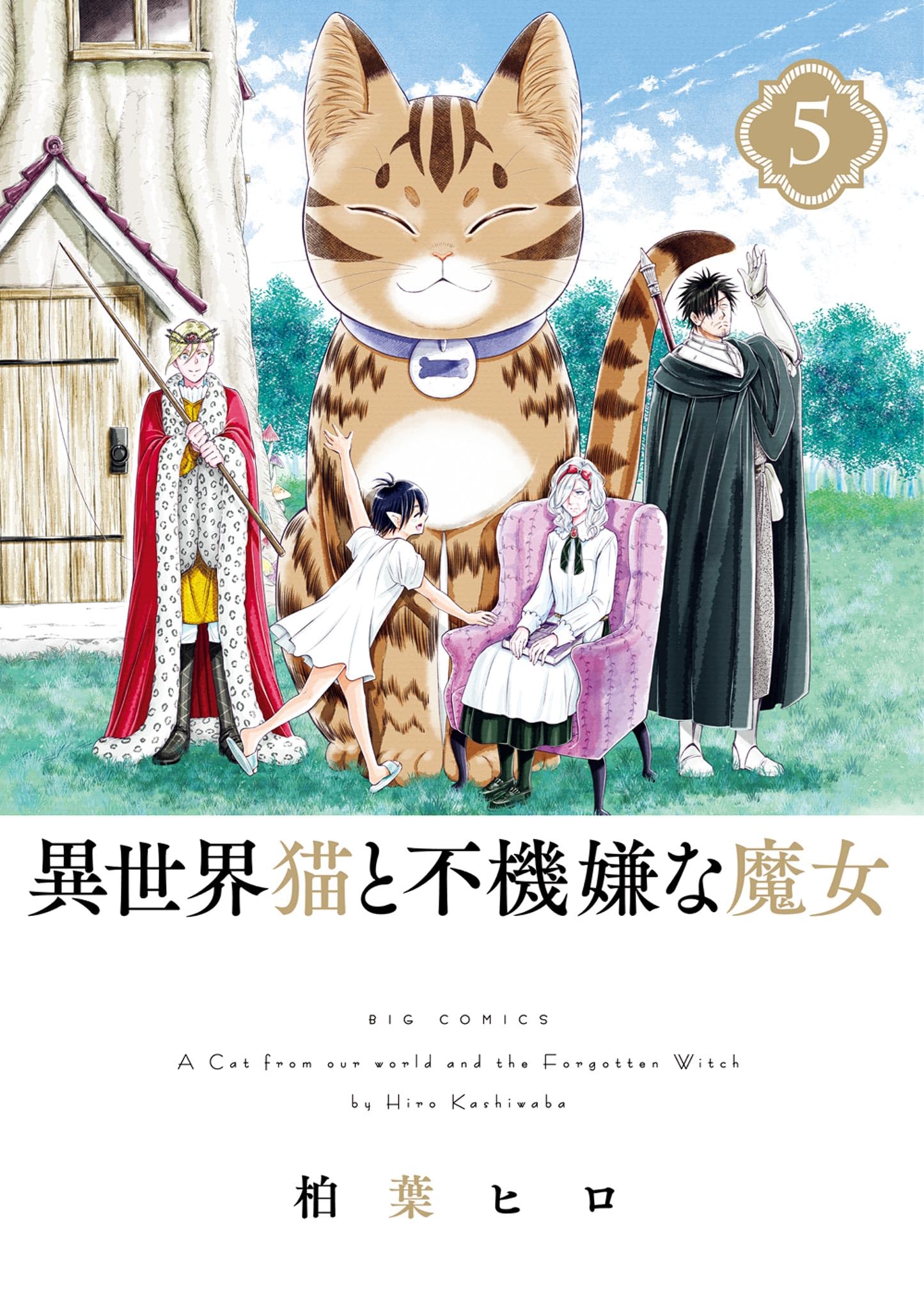 A Cat From Our World and the Forgotten Witch