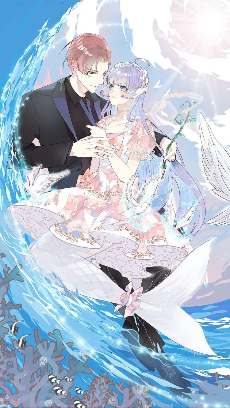 The Mermaid Wears Dress
