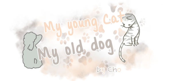 My Kitty and Old Dog