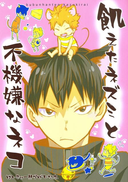 Haikyuu!! - Hungry Mouse And Grumpy Cat (Doujinshi)