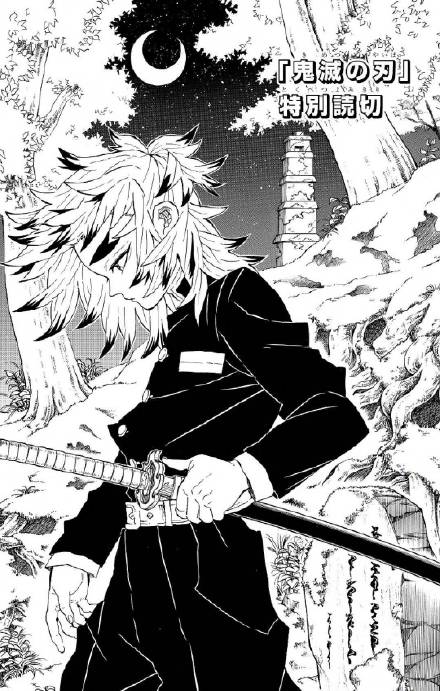 Blades Of Demon Destruction Special Oneshot