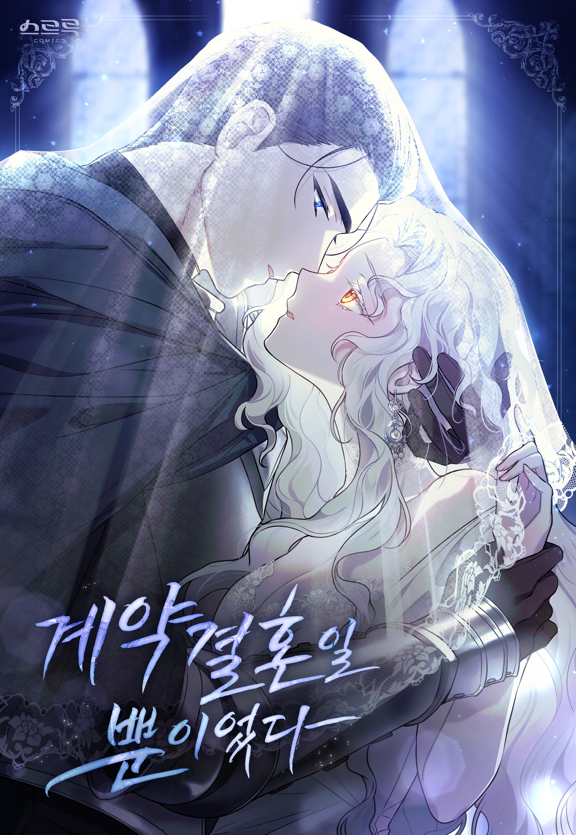 Just a Contract Marriage