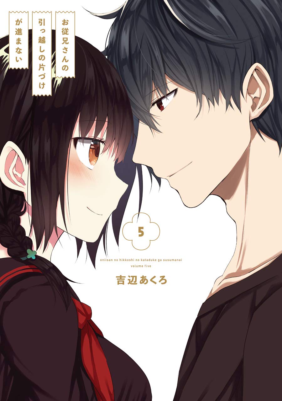 Oniisan no Hikkoshi no Katazuke ga Susumanai