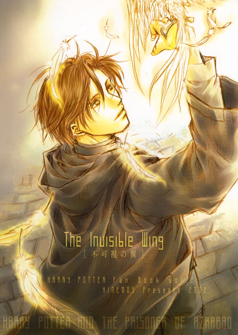 Harry Potter dj - The Invisible Wing