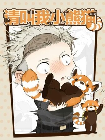 Call Me a Lesser Panda