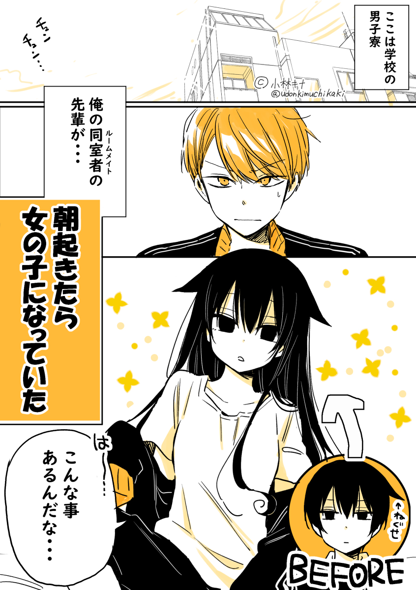 About a Lazy High School Guy Who Woke Up as a Girl One Morning