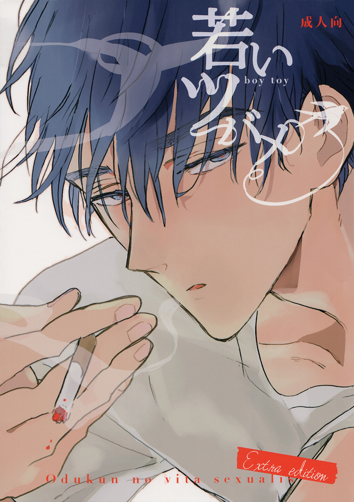 Wakai Tsubame - Boy Toy