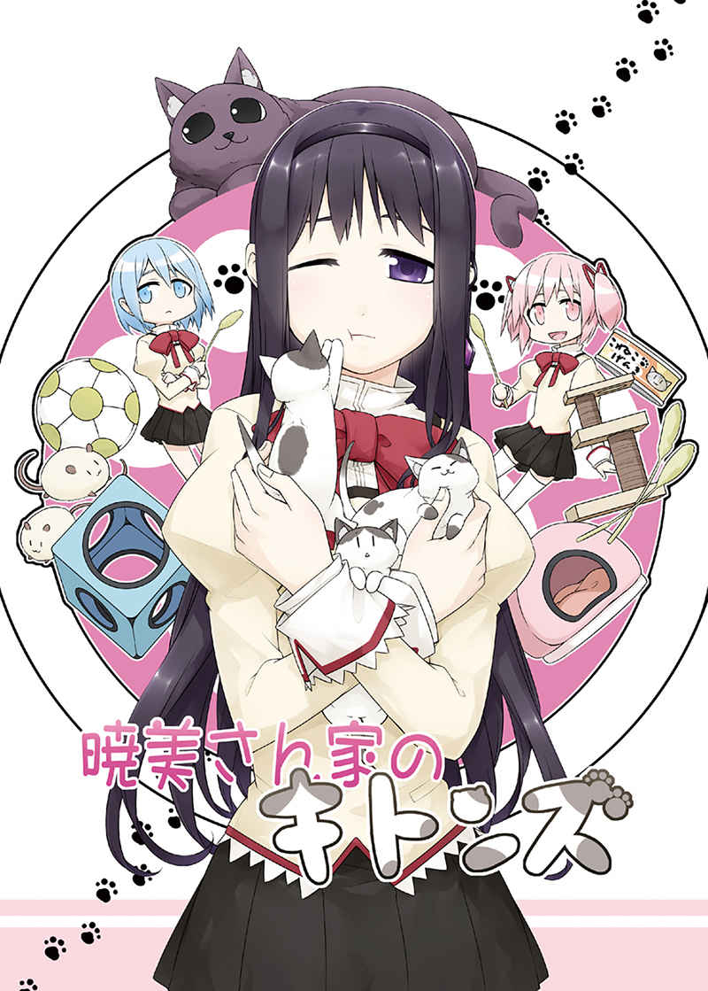 Puella Magi Madoka★Magica - Akemi Family's New Kittens (Doujinshi)