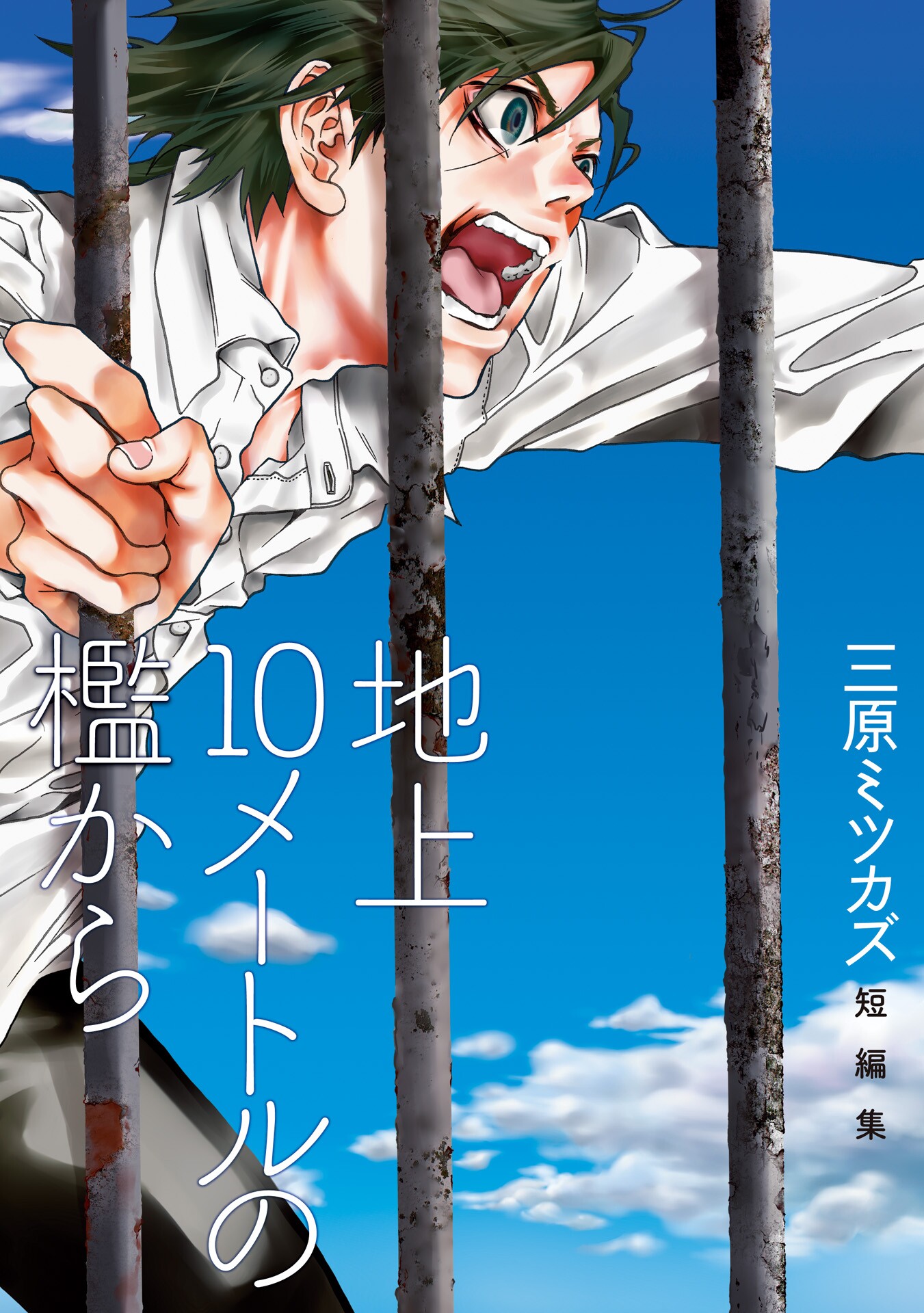 From a Cage 10 Meters Above Ground