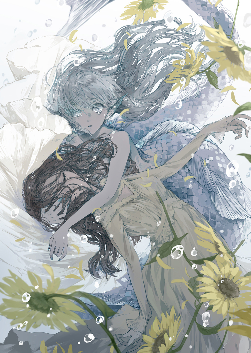 Tale of a Princess and the Little Mermaid