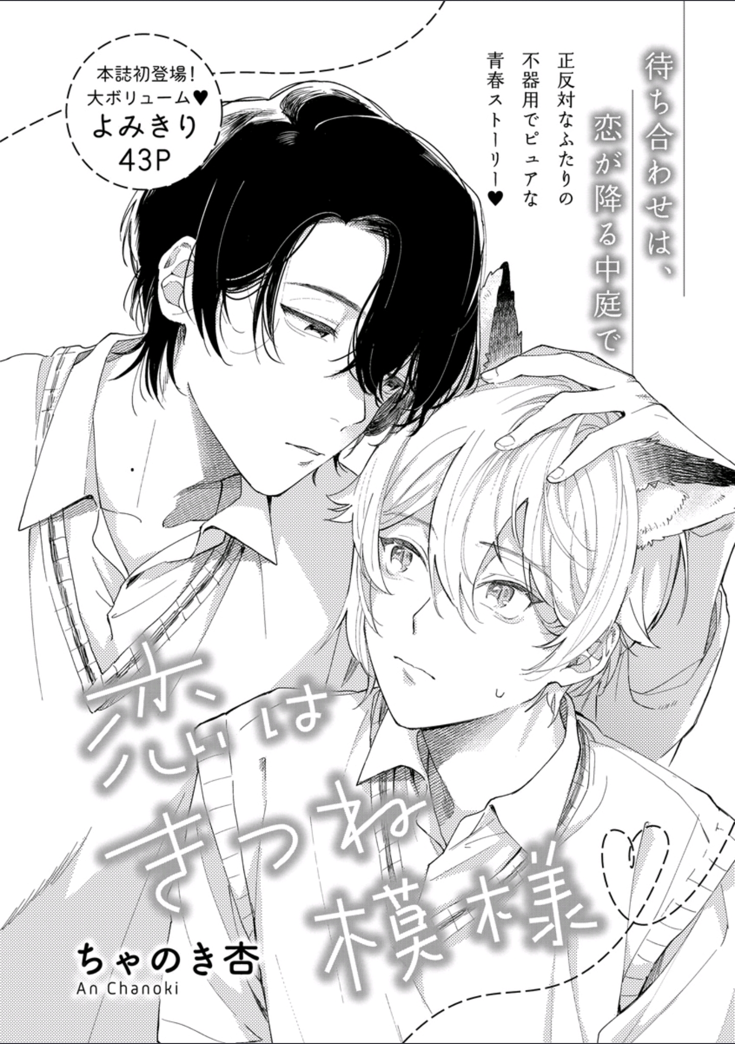 Love is a Cat Pattern