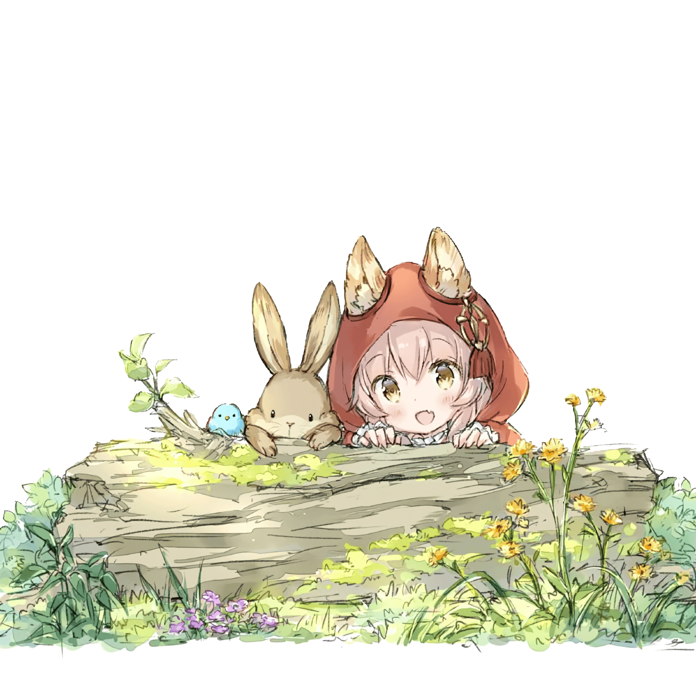 Little Wolf's Story
