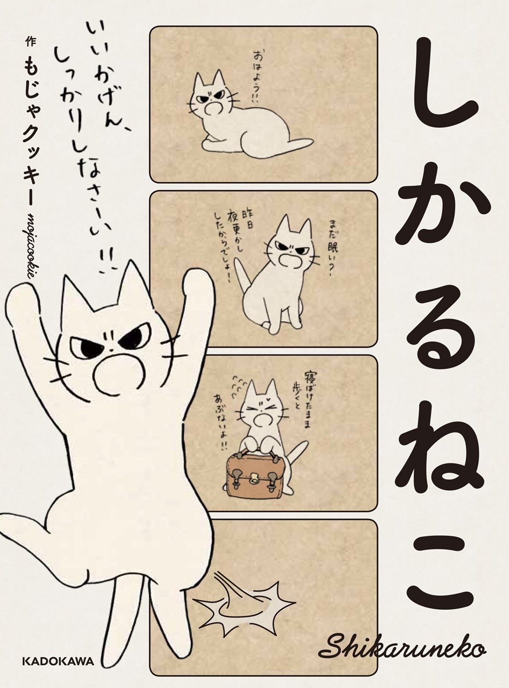 Scolding Cat