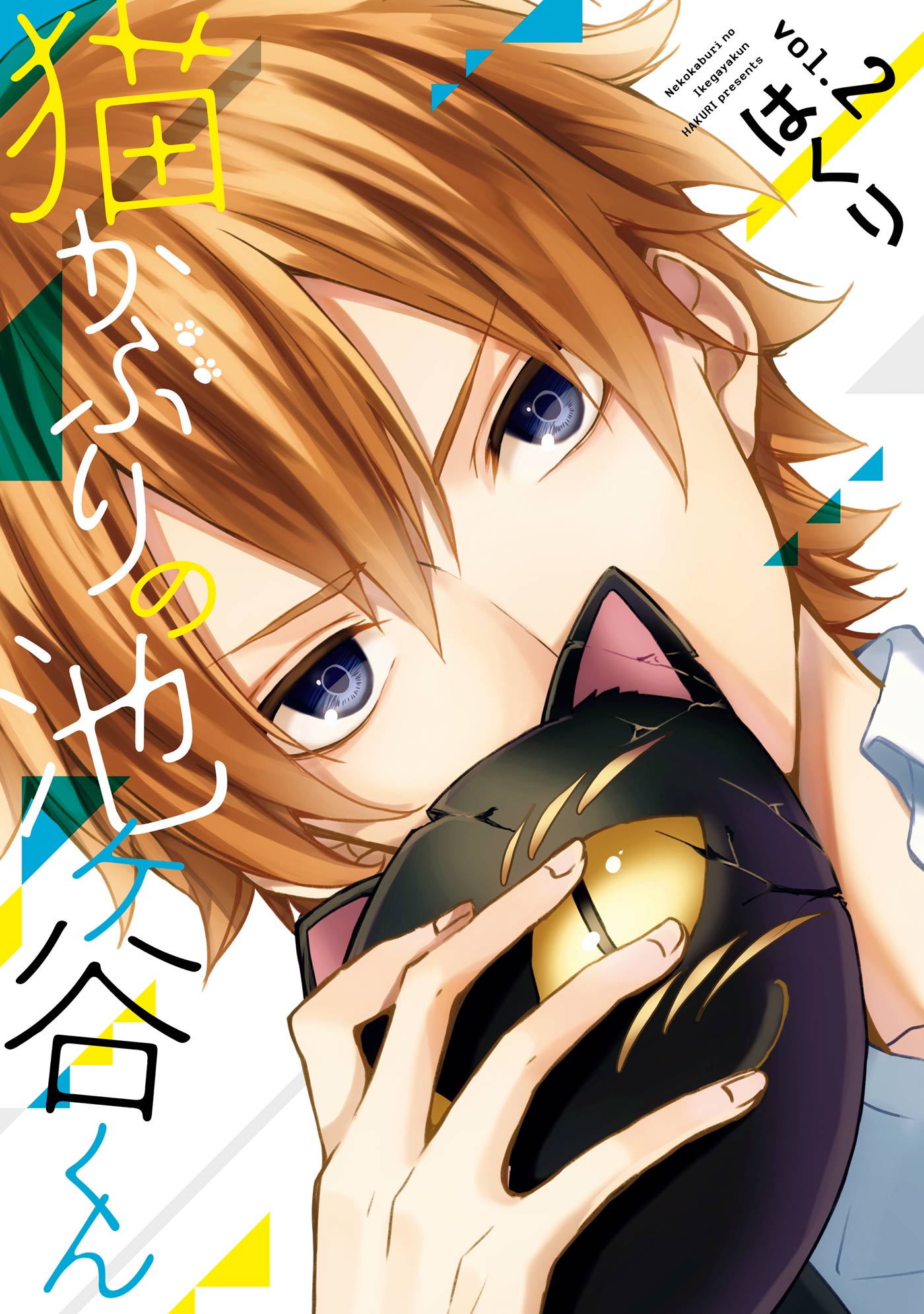 The Masked Ikegaya